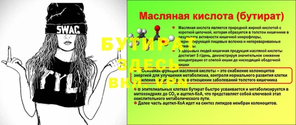 гидра Надым