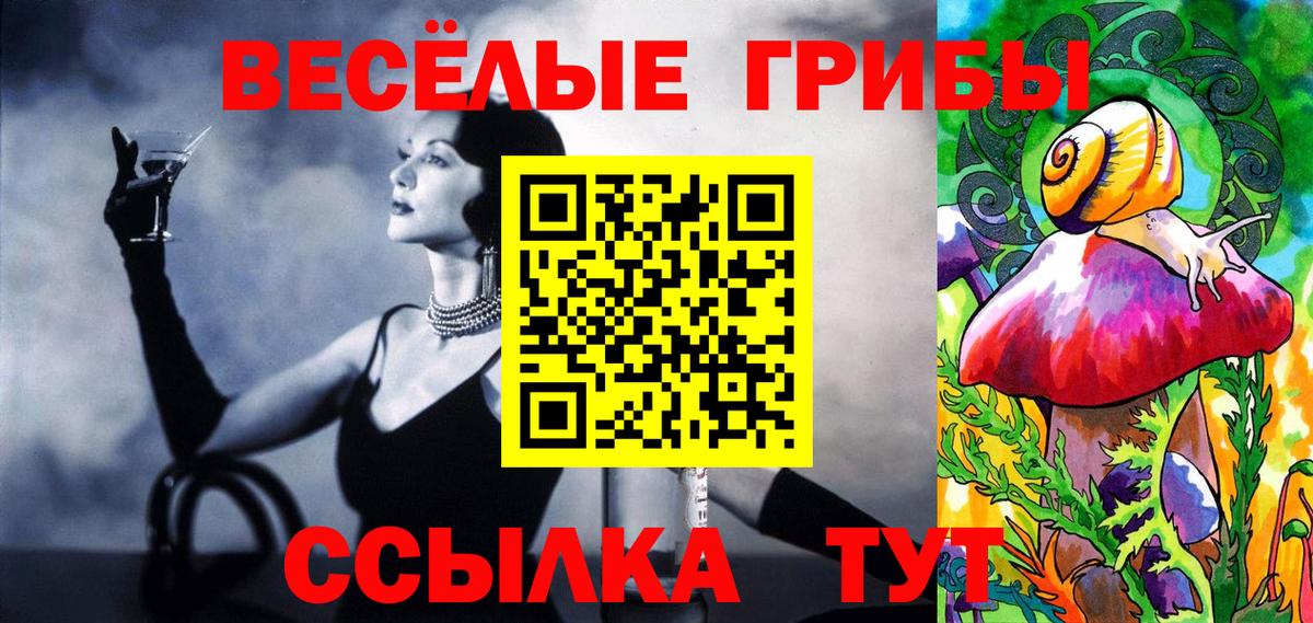 Псилоцибиновые грибы MAGIC MUSHROOMS  Вход с VPN  Ковров 