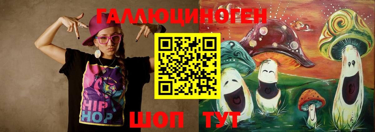 Галлюциногенные грибы Psilocybe Ковров